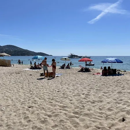 Jardin 4 Pers Piscine Le Lavandou